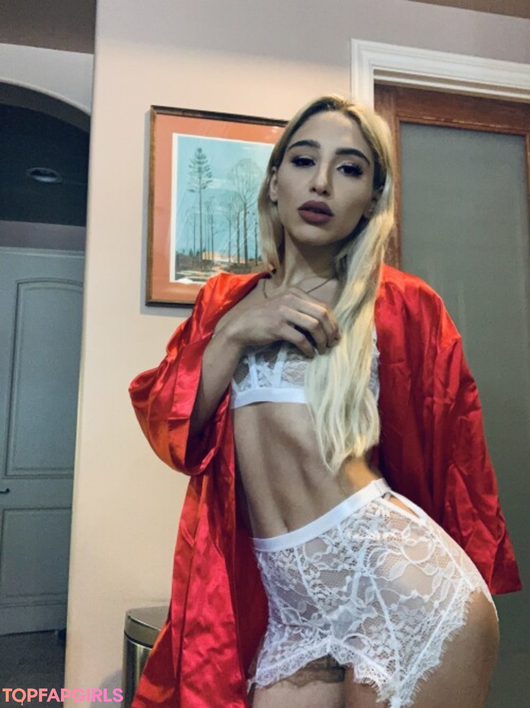 Naakte gelekte OnlyFans-foto van Abella Danger #347