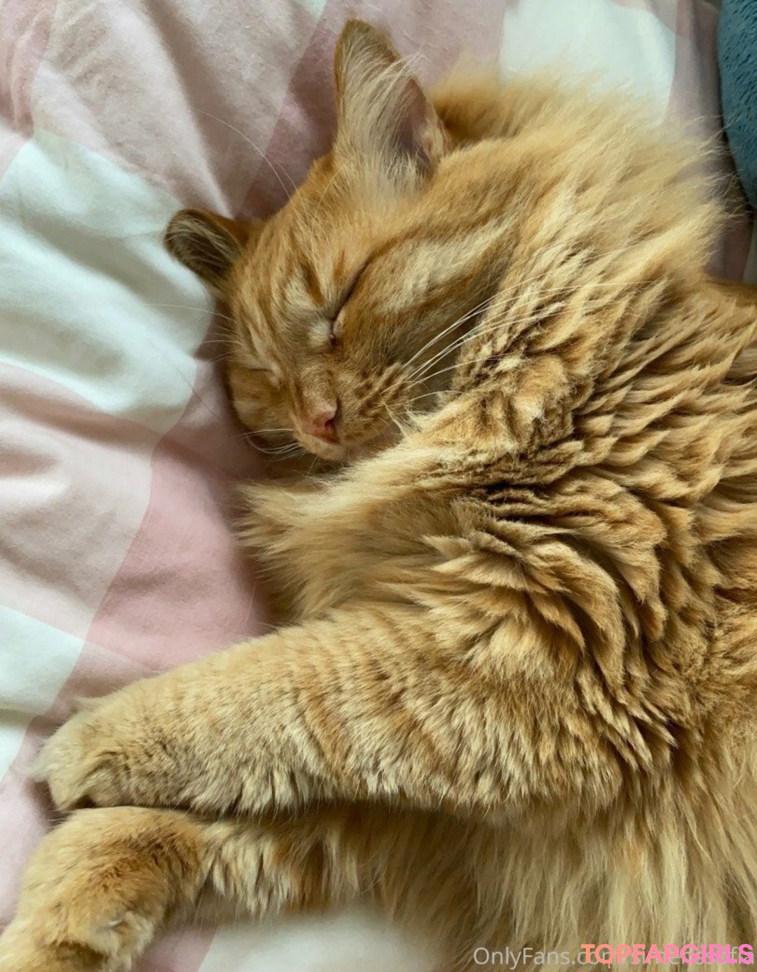 Naakte gelekte OnlyFans-foto van Simens Sofia #1399