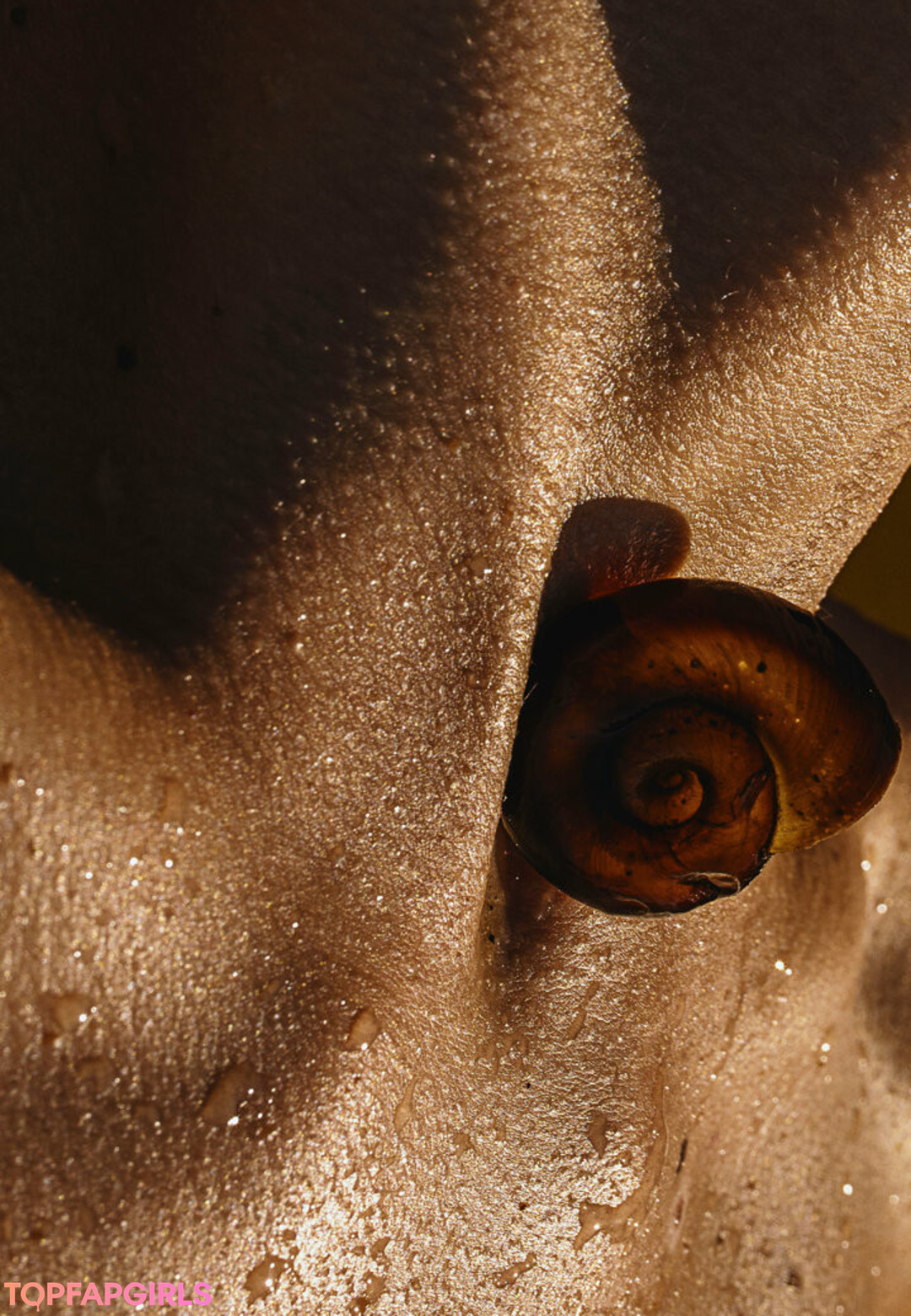 Naakte gelekte OnlyFans-foto van Solomia Maievska #1798