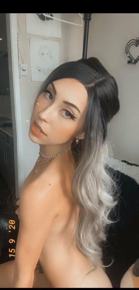 Dollyhazed