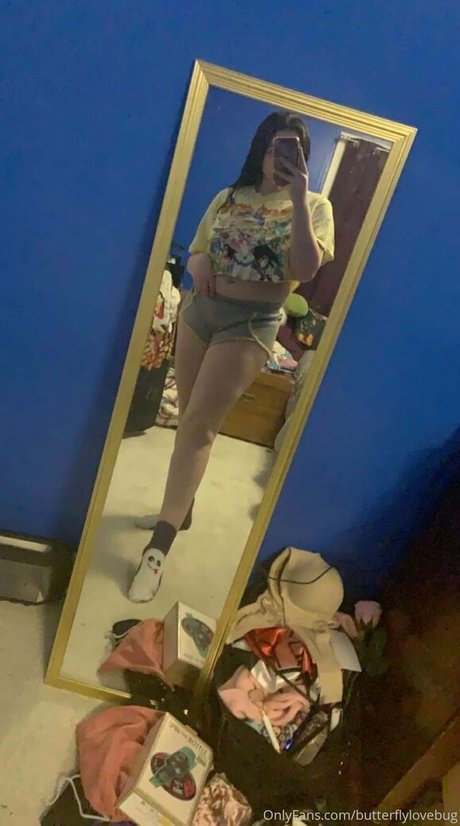 Butterflylovebug