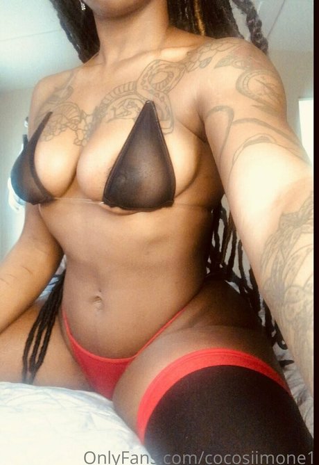 Cocosiimone1
