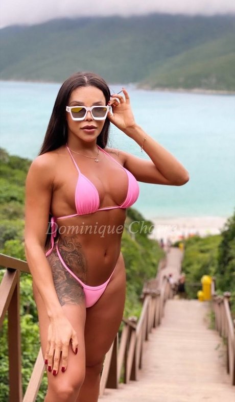 Dominique Charre