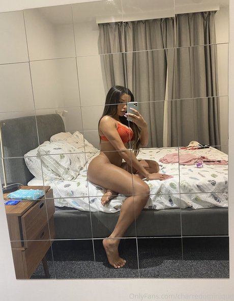 Dominique Charre