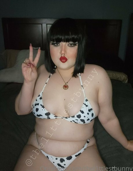 Thel1ttlestbunny