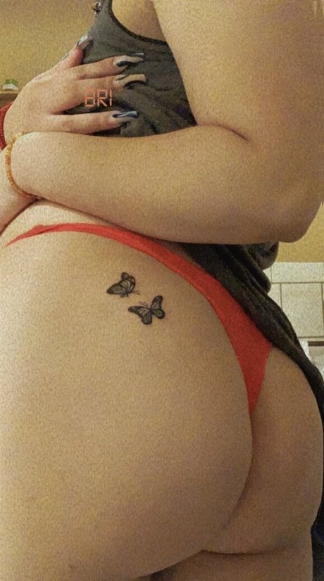 Bribeibi