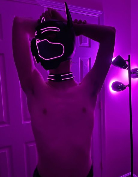 Pup_haze