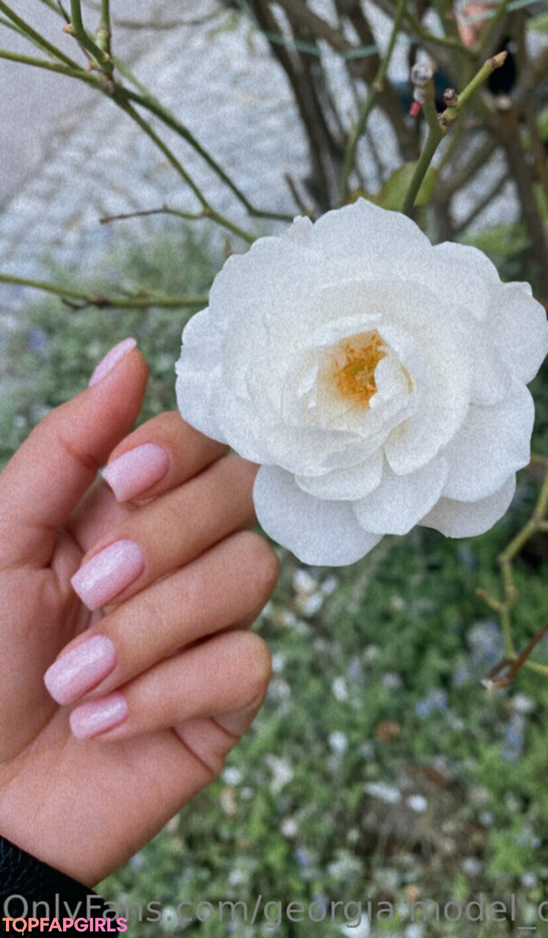 Naakte gelekte OnlyFans-foto van Photopolli #202 Naakte gelekte OnlyFans-foto van Photopolli #202