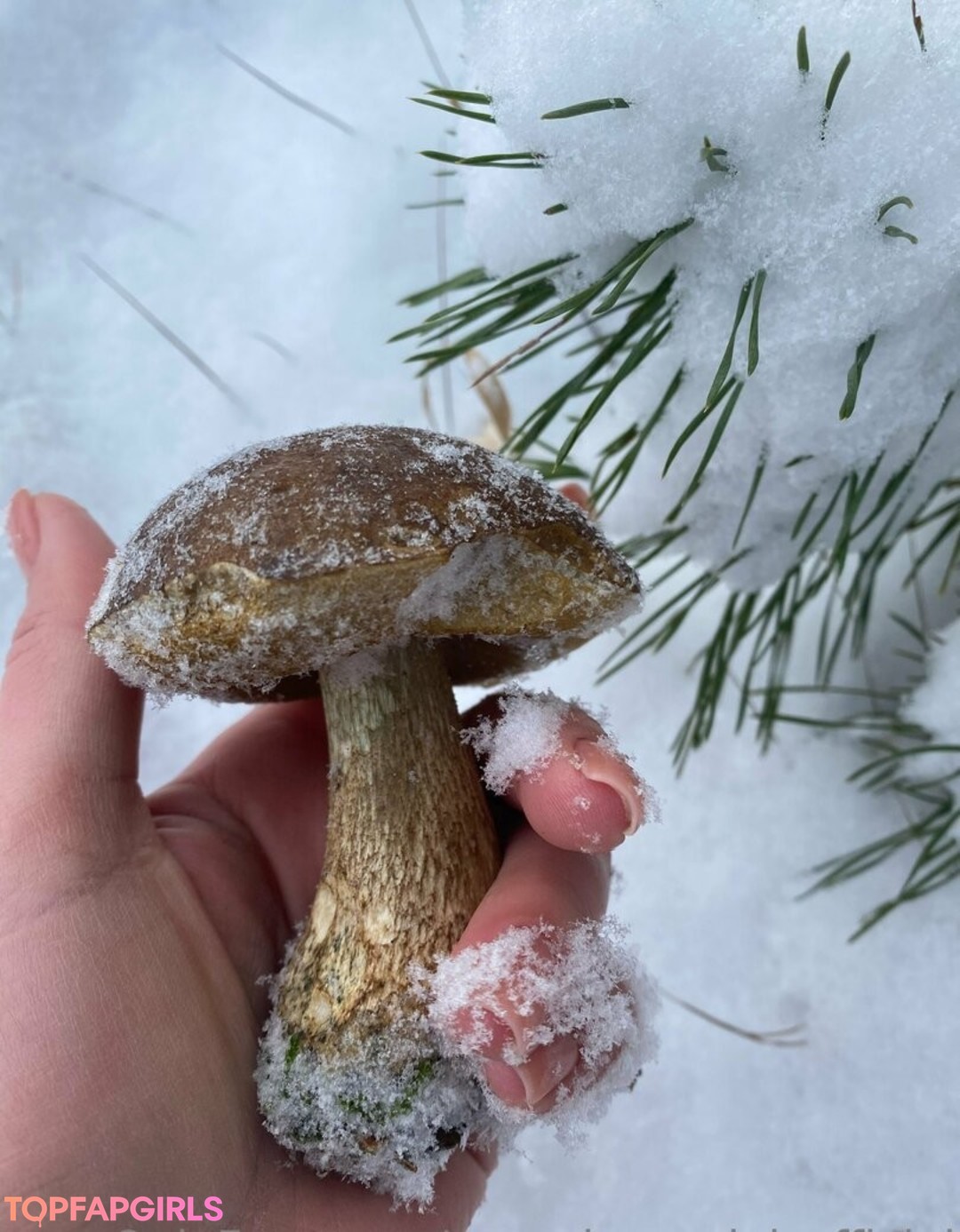 Naakte gelekte OnlyFans-foto van Photopolli #221 Naakte gelekte OnlyFans-foto van Photopolli #221