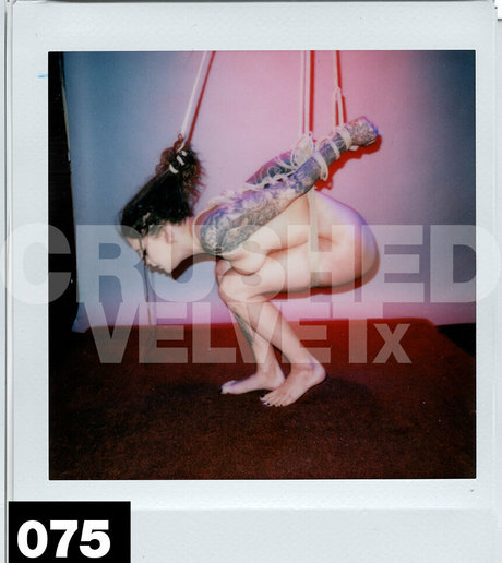 Crushedvelvetx
