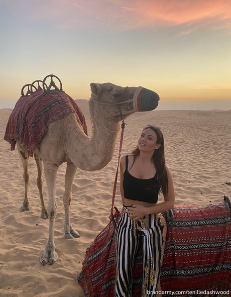 Tenille Dashwood