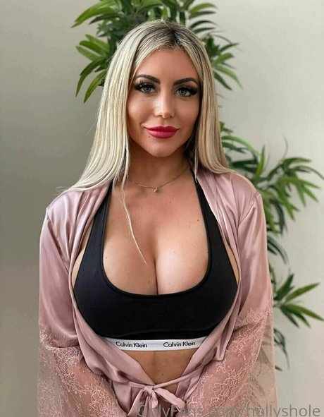 Hollyshole