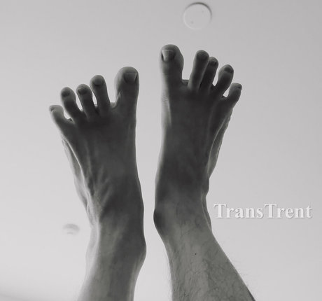 Transtrentfree