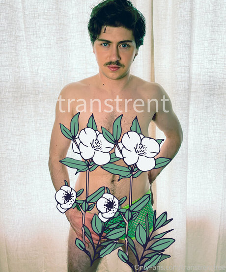 Transtrentfree