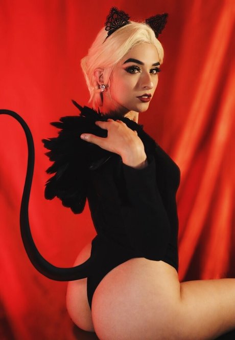 Vain Virgo