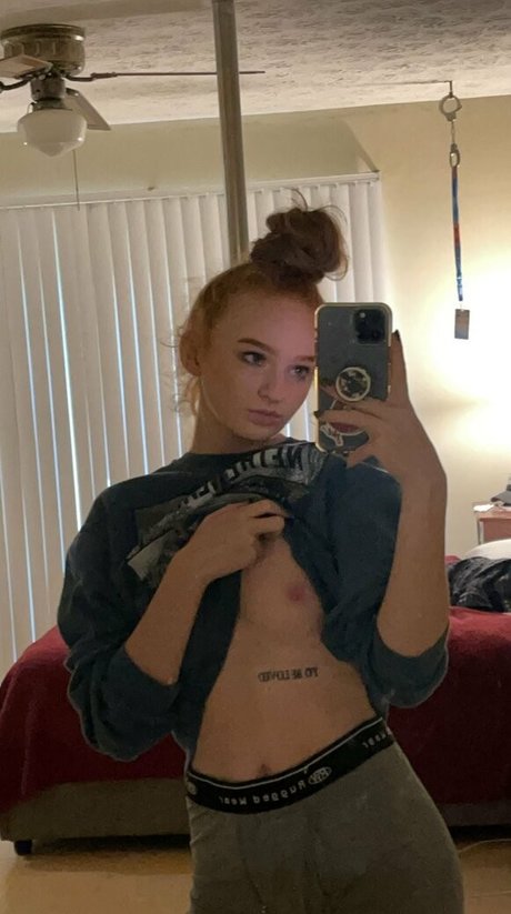 Lexibookout