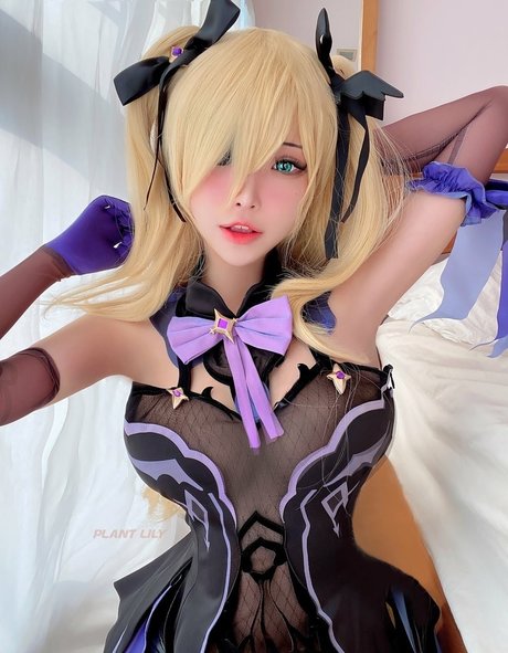 Plantlily