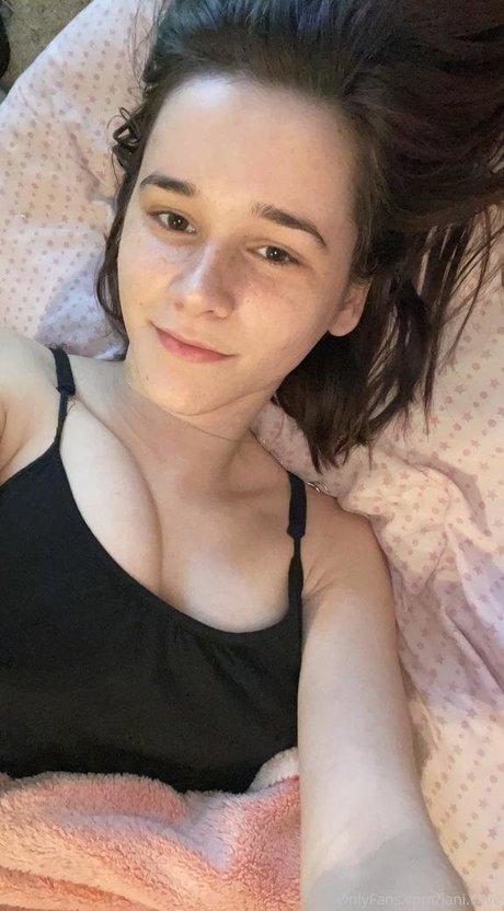Janiveve