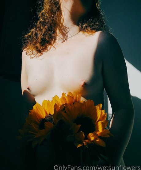 Wetsunflowers