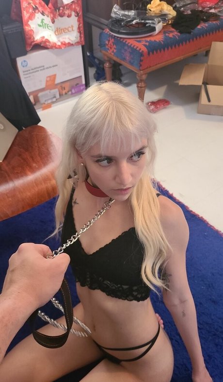 Naakte gelekte OnlyFans-foto van Catsandkittens456