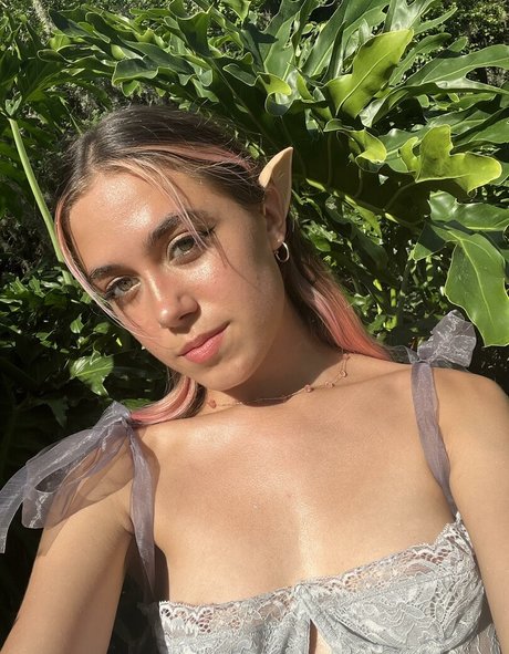 Thefairy