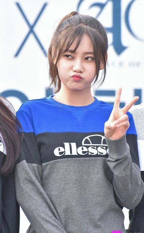 Aoa Team