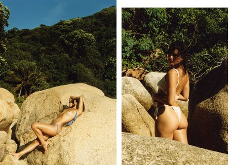 Sierrabravee