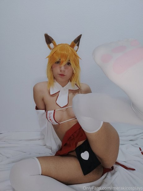 Meraky cosplays