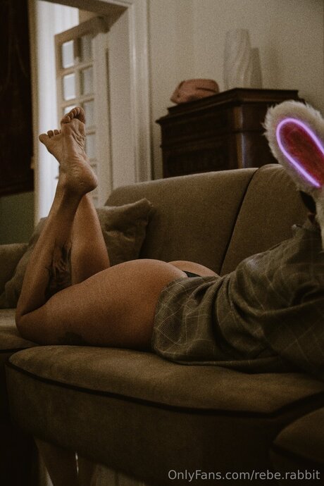 Rebe Rabbit