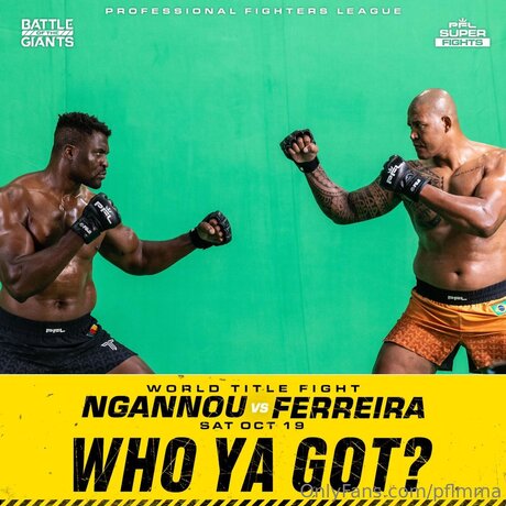 Pflmma