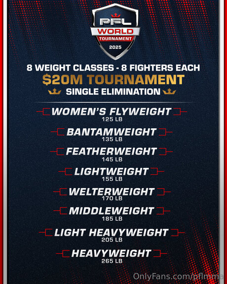 Pflmma