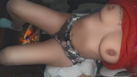 Bjbarbie 19977