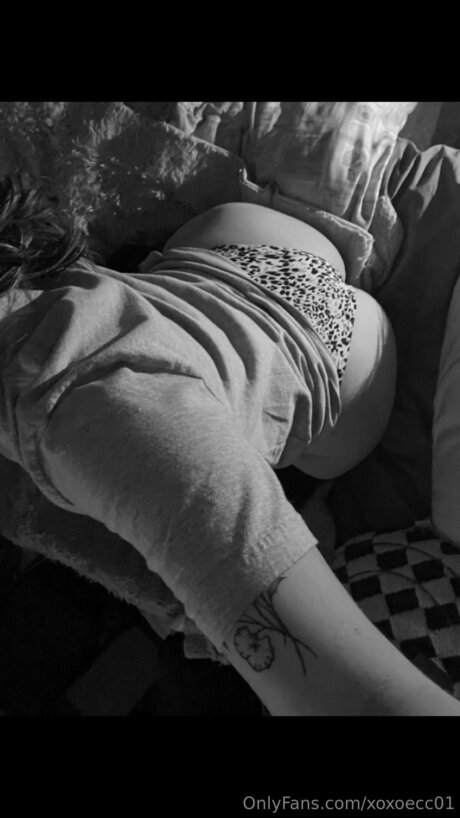 Xoxoecc01