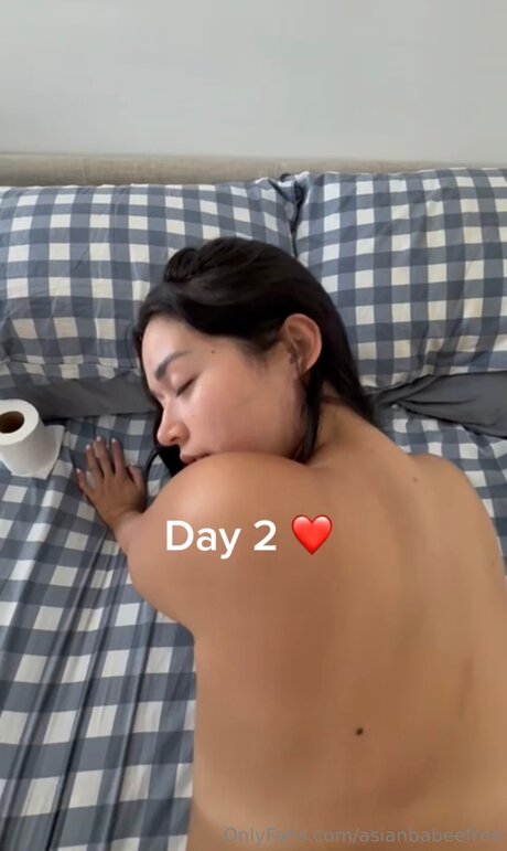 Asianbabeefree