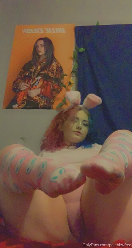 Palebbwfree