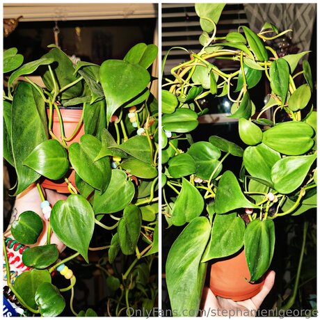 Naakte gelekte OnlyFans-foto van Stephanienlgeorge