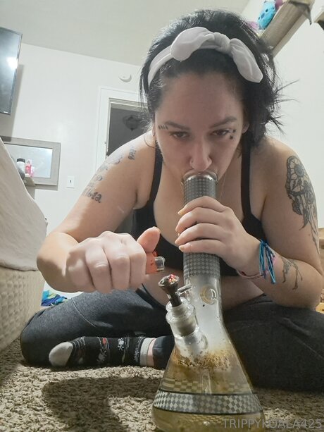 Trippykoala425