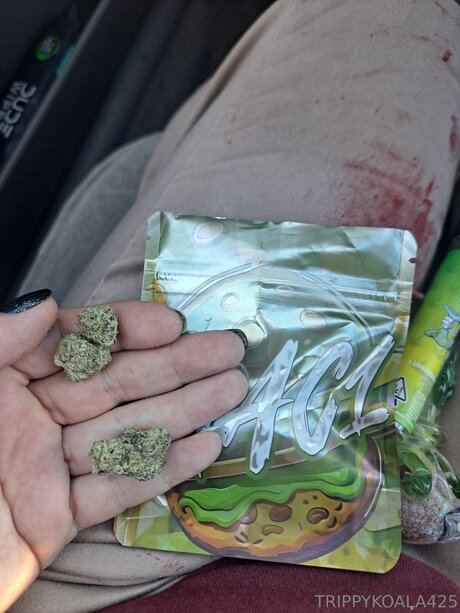 Trippykoala425