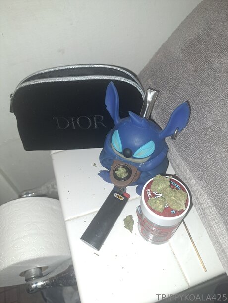 Trippykoala425