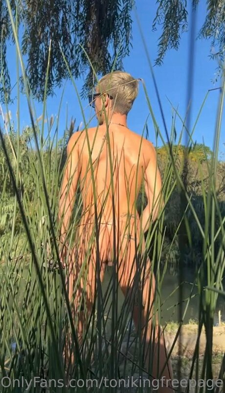 Tonikingfreepage