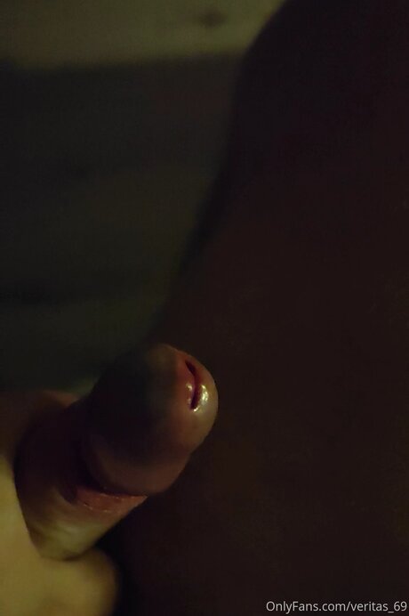 Veritas 69