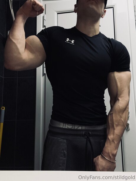 Stildgold