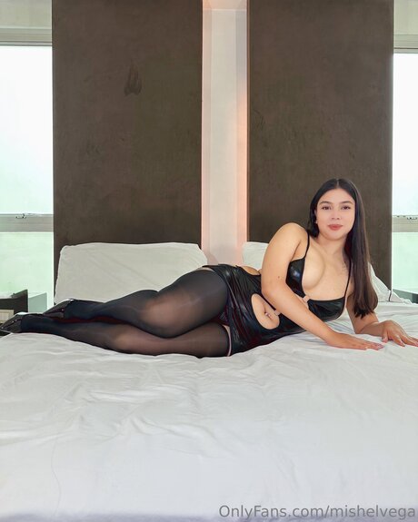 Mishelvega