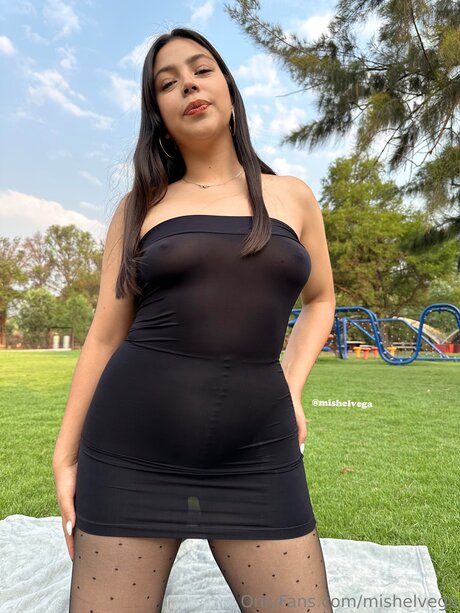 Mishelvega