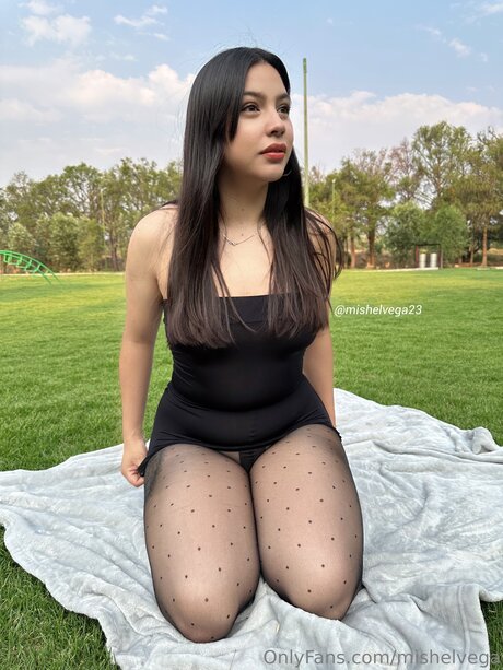 Mishelvega