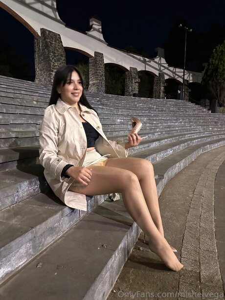 Mishelvega