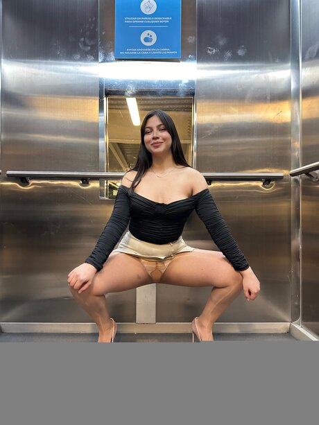 Mishelvega