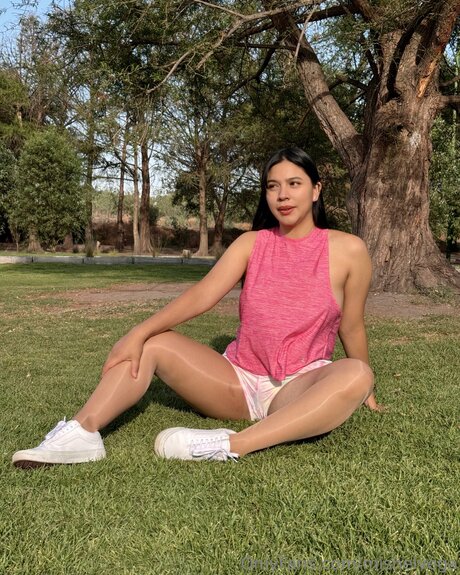 Mishelvega