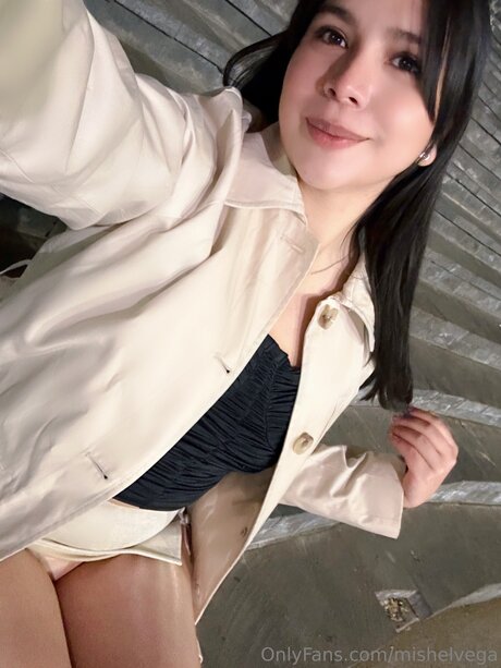 Mishelvega