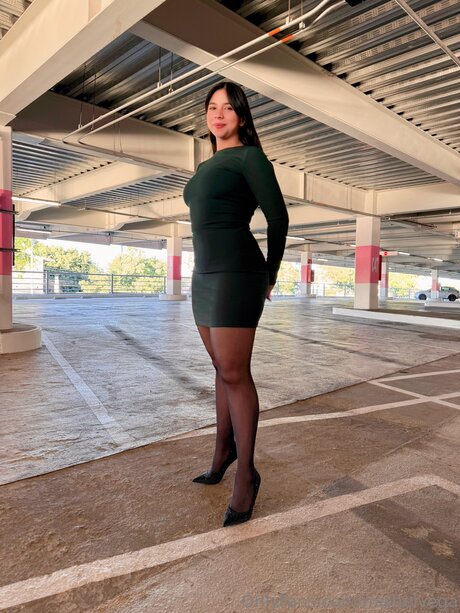 Mishelvega